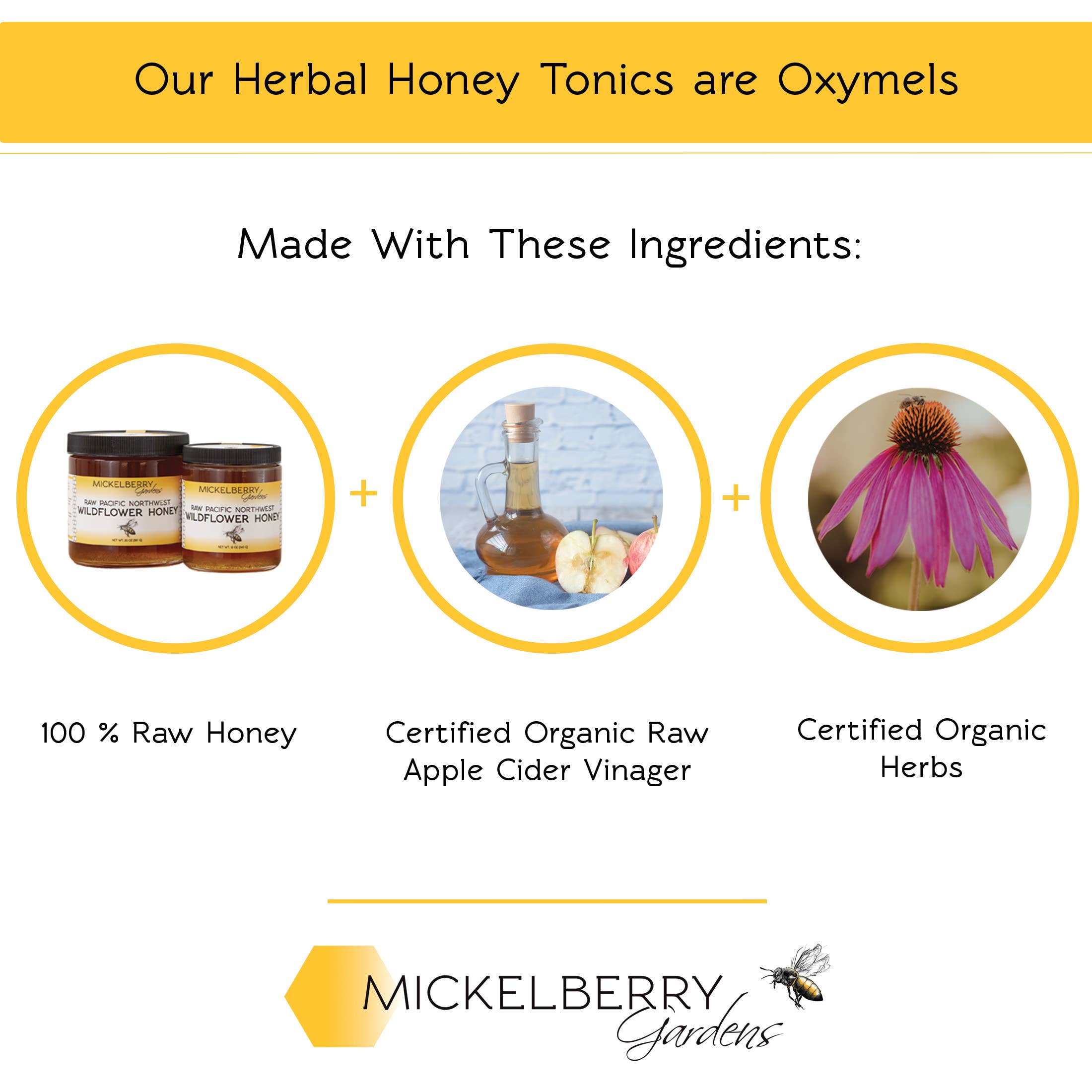 Elderberry Immune Support Spray — on the go wellness support